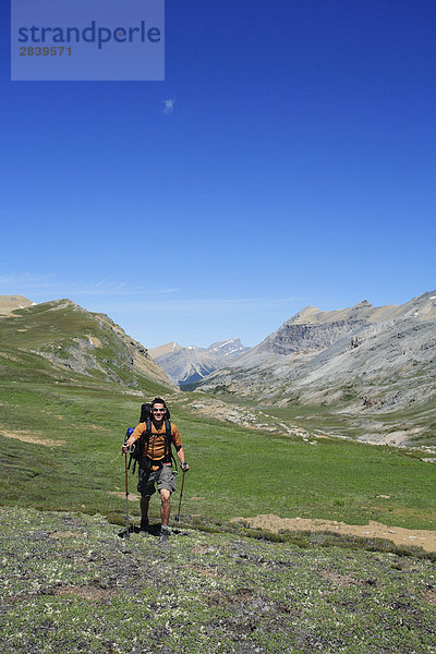 Lächelnd Backpacker Wanderungen durch eine offene alpine Wiese in den kanadischen Rocky Mountains hoch über Treeline im Hinterland von Banff-Nationalpark  Alberta  Kanada.