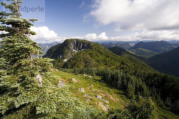 Vancouver Island Marmot Lebensraum am Green Mountain  Vancouver Island  British Columbia  Kanada.