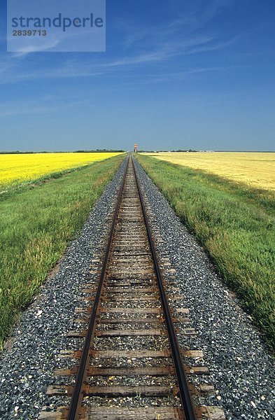 Eisenbahn durch Prärien in der Nähe von Carey  Manitoba  Kanada.