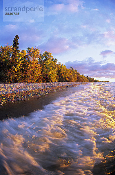 Herbst entlang Hillside Beach  Lake Winnipeg  Manitoba  Kanada.