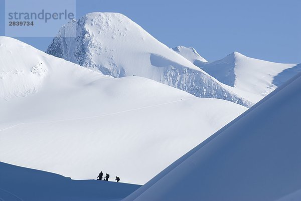 Gruppe der Skifahrer bereit zum Skifahren mit Asulkan Pass und Mt. Fox im Hintergrund  Glacier-Nationalpark  British Columbia  Kanada.