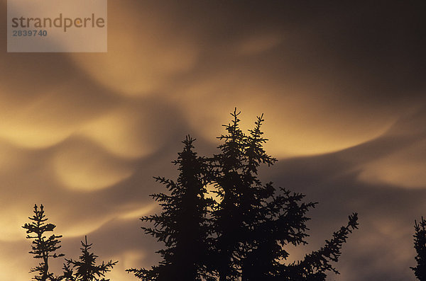 Wolke Sonnenuntergang Sturm Ländliches Motiv ländliche Motive British Columbia Kanada grau