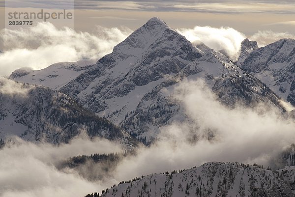 Woden Peak in Winter Nebel und Schnee  Valhalla Range  Selkirk Mountains  British Columbia  Kanada.