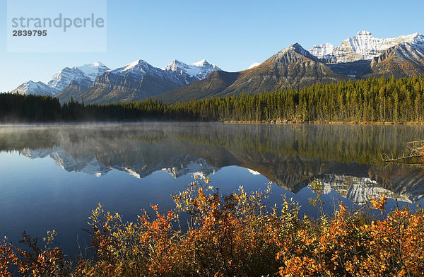 Herbert Lake  Banff-Nationalpark  Alberta  Kanada.