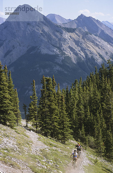 Mountainbiker fahren hinunter Trail in den Wald in Kananaskis Country  Rocky Mountains  Alberta  Kanada.