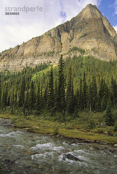 Saddle Mountain über Paradise Creek  Banff-Nationalpark  Alberta  Kanada.