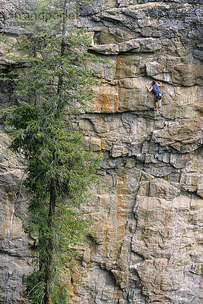 Man Klettern an mütterlichen Wand. Skaha Bluffs. Penticton  British Columbia  Kanada.