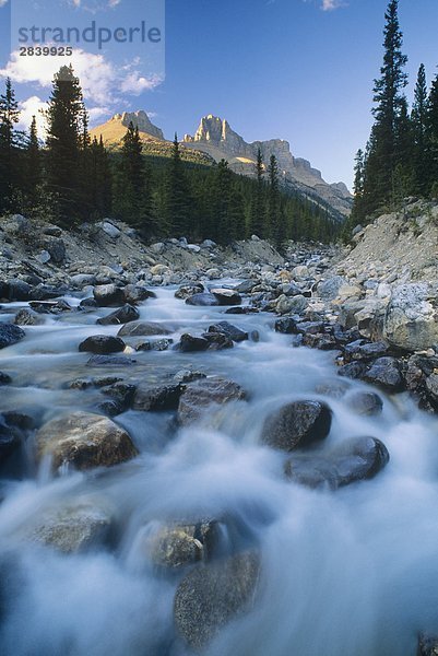 Noyes Creek  Banff-Nationalpark  Alberta  Kanada.
