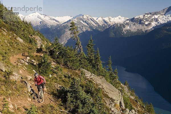 Mountainbiken in der Coast Mountains in Whistler  British Columbia  Kanada.