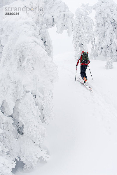 Man Skier bis Hollyburn Berg. Cypress Schüssel  West Vancouver  British Columbia  Kanada.