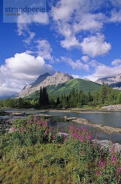 Kananaskis River und Mount Kid in Kananaskis Provincial Park  Alberta  Kanada.