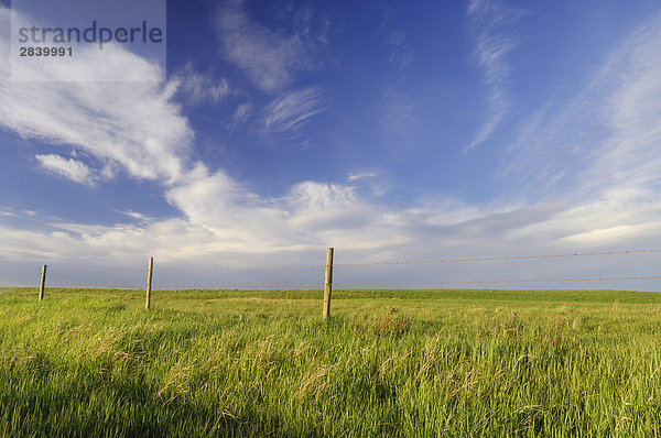 Active Prairie Himmel und Farm schräg westlich von Calgary  Alberta  Kanada.
