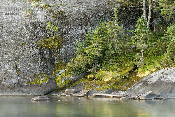 Hattie Cove ist am oberen See im Pukaskwa National Park im borealen Wald gefunden. Heron Bay  Ontario  Kanada.