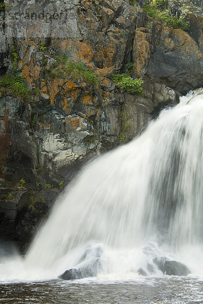 Kap-Kig-Iwan ist für 'The hohe Falls' Aborigines. Dieses Wasserfalls ist am Fluss Englehart gefunden  die durch Kap-Kig-Iwan Provincial Park in Ontario's borealen Wald fließt. Englehart  Ontario  Kanada.
