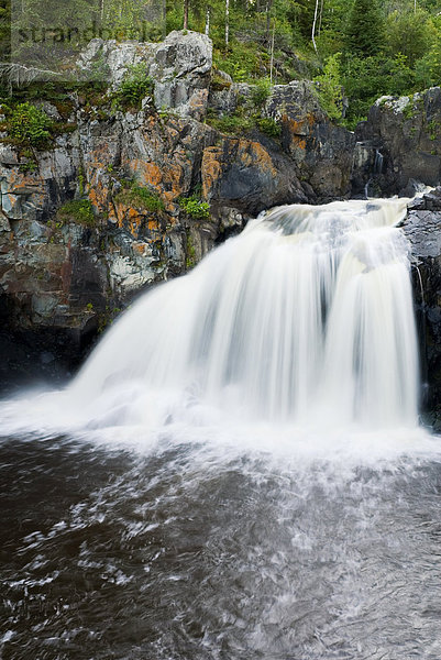 Kap-Kig-Iwan ist aboriginal für 'der hohen Falls' dieses Wasserfalls am Fluss Englehart in Ontario's borealen Wald. Kap-Kig-Iwan Provincial Park  Englehart  Ontario  Kanada.