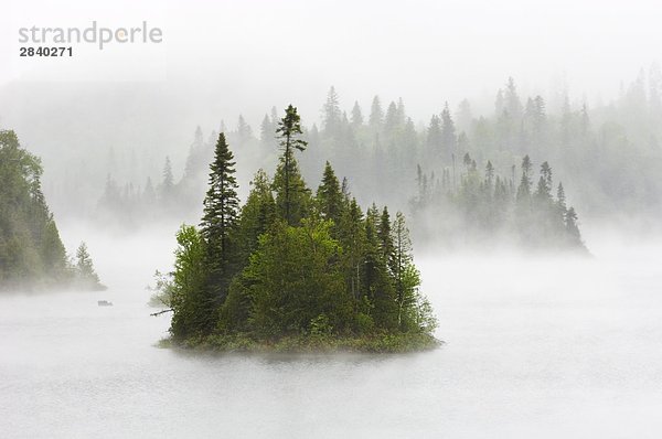 Insel in Fenton See im Nebel und Regen  Superior Provincial Park  Ontario  Kanada.