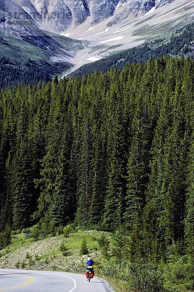 Radfahren unten Mount Hector  Banff-Nationalpark  Alberta  Kanada.