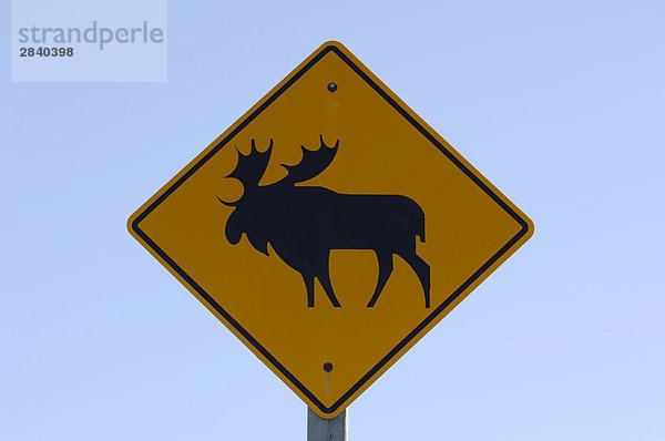 Moose crossing Zeichen zusammen Highway 63 im nördlichen Alberta  Kanada.