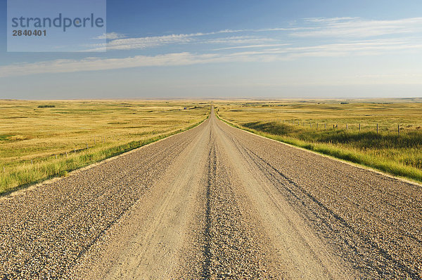 Gerade Gravel Road Überschrift in die Ferne in ländlichen südlichen Alberta  Kanada.