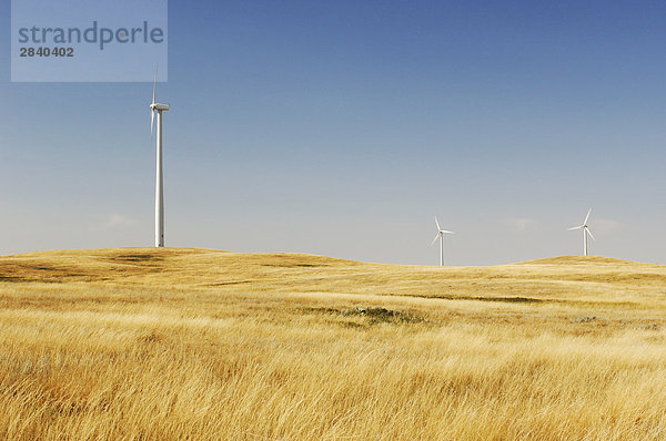 Windturbine Windrad Windräder nahe Stadt See Möwe Kanada