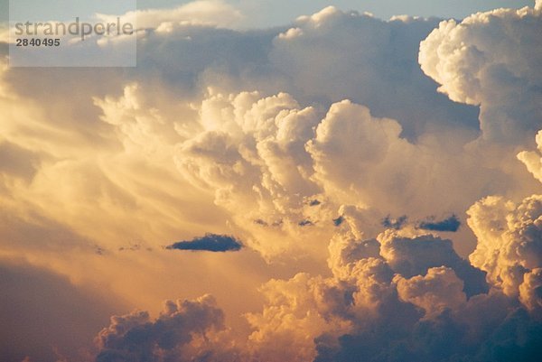 Cumulo Nimbus Amboss. Diese Wolken Form als die enorme Dynamik nach oben von einer Cumulonimbus wird nach außen durch die stabile Ebene der Stratosphäre produzieren die Anvil Form abgelenkt. Temperaturen sind niedrig und die Wolken sind eine Mischung aus unterkühlten Regentropfen Cloud Tröpfchen Eiskristalle und Schnee. Südwesten Alberta  Kanada.