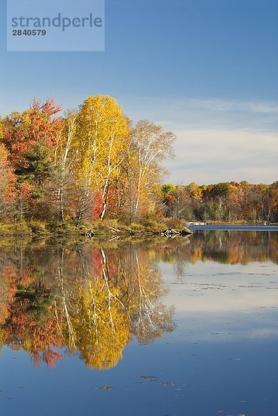 Herbstbäume reflektieren in Liebeck See auf der Seguin Wanderroute in Rainbow Land  Parry Sound  Ontario  Kanada.