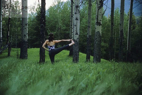 Als young Frau macht einige Yoga im hohen Gras und Wald im Banff-Nationalpark  Alberta  Kanada.