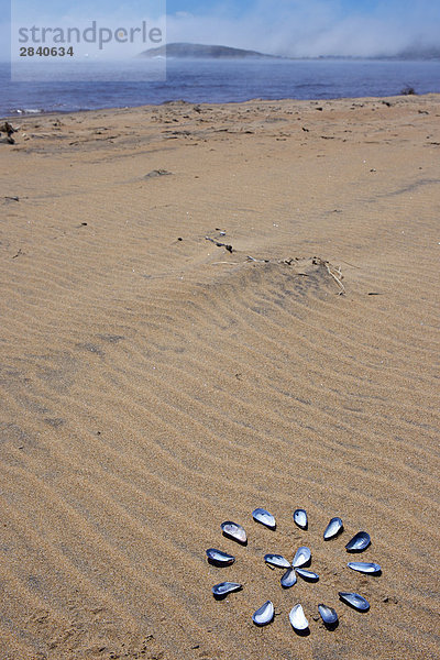 Muschel Strand fahren Küste Kunst Fluss Design vorwärts Labrador Ländliches Motiv ländliche Motive Pinware liegend liegen liegt liegendes liegender liegende daliegen Kanada