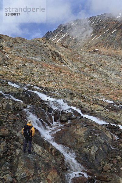 Wanderer in alpine  Hudson Bay Mountain  Smithers  British Columbia