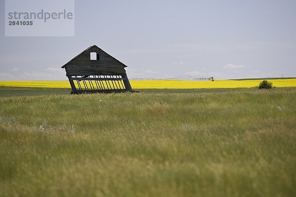 Windverblasen Gebäude in der Nähe Transcanada Highway  Saskatchewan  Kanada.