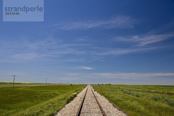 Railroad in der Nähe von Neville  Saskatchewan  Kanada.
