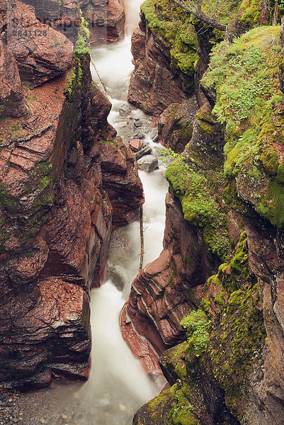 Red Rock Canyon  Waterton-Lakes-Nationalpark  Alberta  Kanada