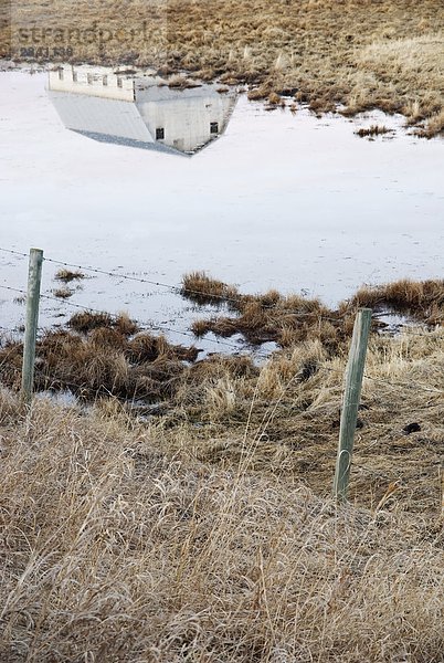 Scheune Reflexion in Prairie Slough  in der Nähe von Cochrane  Alberta  Kanada