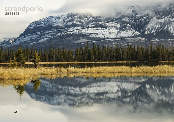 Talbot See  Jasper-Nationalpark in Alberta  Kanada