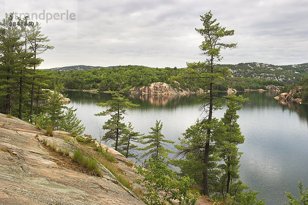 Granitfelsen und White Pines sind typisch für die Landschaft in Killarney Provincial Park in Ontario  Kanada.