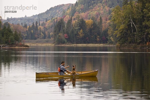 Junger Mann Kanu mit Hund am Oxtongue See im Herbst  Mukoka  Ontario  Kanada.