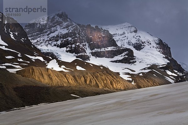 Mount Andromeda von Athabasca-Gletscher  Jasper National Park bei Columbia Eisfeldern gebären  Canadian Rockies  Alberta  Kanada