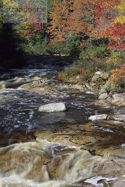 Brook im Herbst entlang der Cabot Trail  Nova Scotia  Kanada.