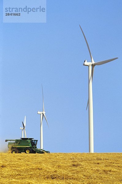 Windturbine Windrad Windräder nahe ernten Weizen Mähdrescher Kanada Manitoba Winnipeg