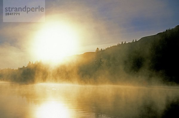 Herbst Nebel auf der Red Deer River  trockene Insel Buffalo Jump Provincial Park  Alberta  Kanada.