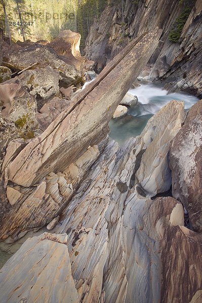 Wasser Sculpting Rock Bett entlang dem Kicking Horse River unterhalb der Natural Bridge  Yoho Nationalpark  British Columbia  Kanada