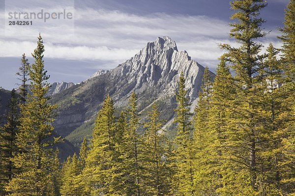 Mt. Lorette  Kananaskis Country  Alberta  Kanada