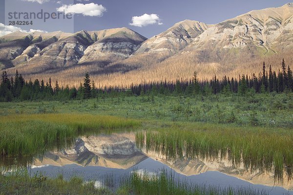 Reflexion der Hawk Ridge in kleinen Teich  Kootenay-Nationalpark  British Columbia  Kanada