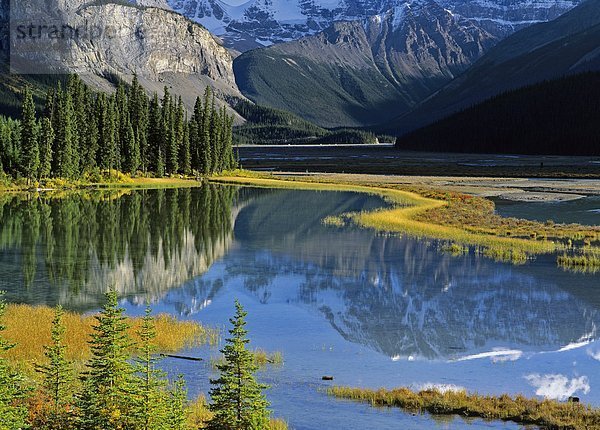 Mount Kitchener spiegelt sich in Teich in der Nähe der Schönheit Creek Hostel  Jasper-Nationalpark in Alberta  Kanada