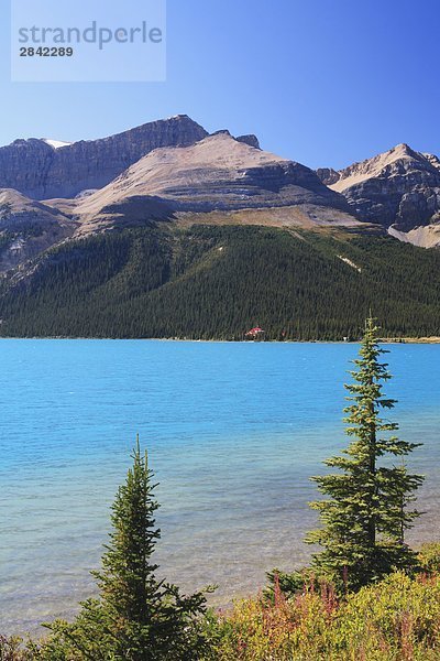 Nationalpark Wasser See Hintergrund Lodge Landhaus blau Unterricht vorwärts Eisfeld Alberta Banff Kanada Kristall