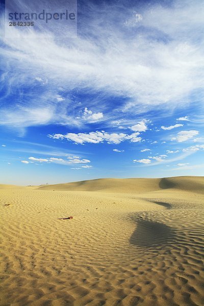 Sanddünen in der Great Sand Hügel in der Nähe von Leader  Saskatchewan  Kanada