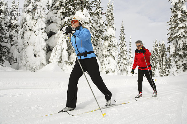 benutzen  überqueren  Technik  Skisport  Klassisches Konzert  Klassik  Skiabfahrt  Abfahrt  British Columbia  Kanada  Kreuz  Vernon