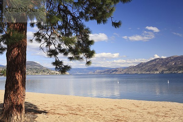 Leeren Sie Strand und ruhigem Wasser auf Okanagan Lake  Summerland Beach  British Columbia  Kanada.