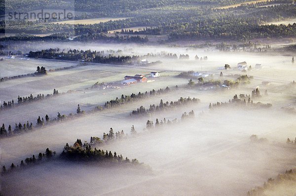 Aerial Brackleyin am frühen Morgen Nebel  Prince Edward Island  Kanada