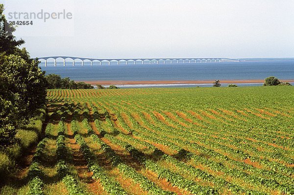 Kanada Confederation Bridge Prince Edward Island